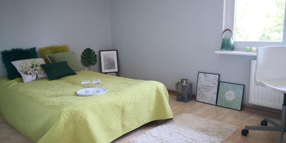Appartement Nad Stawem Mlynskim à Gdańsk Extérieur photo